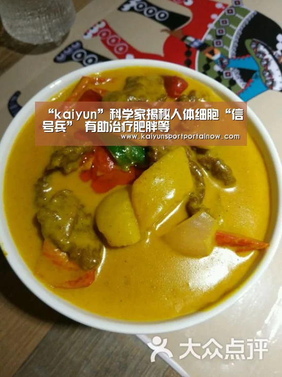 “kaiyun”科学家揭秘人体细胞“信号兵” 有助治疗肥胖等(图1) 开云在线登入