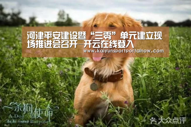开云官网