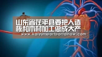 开云官方登录