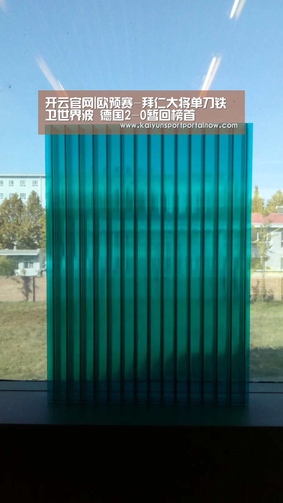 开云官网|欧预赛-拜仁大将单刀铁卫世界波 德国2-0暂回榜首(图1) 开云官方登录